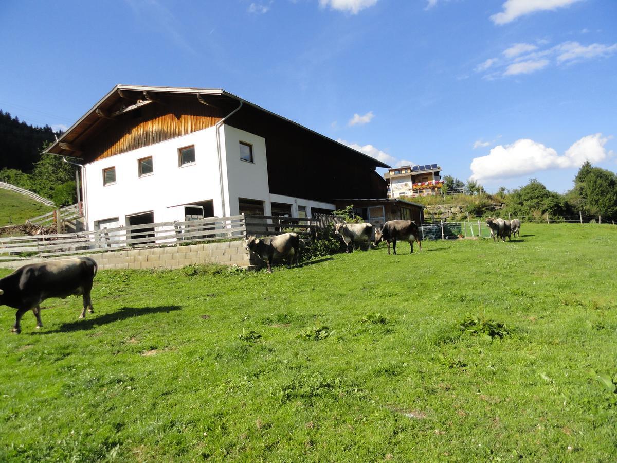 Haus Hochzeigerblick Villa Венс Екстериор снимка
